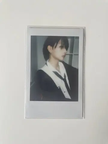 카지군 폴라로이드