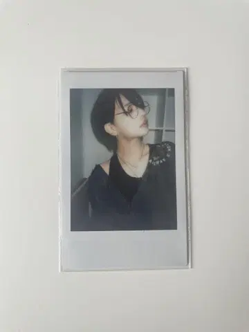 카지군 폴라로이드