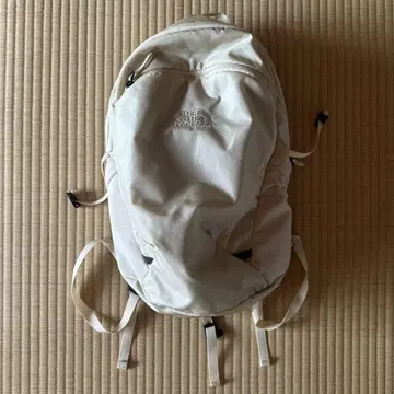 THE NORTH FACE 베이지 백팩