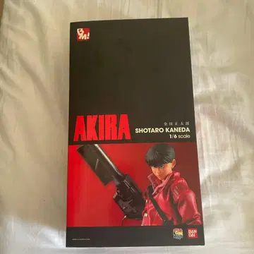 AKIRA 카네다 쇼타로 피규어