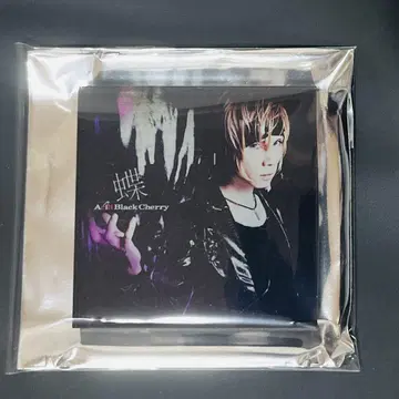 Acid Black Cherry 아크릴 마그넷 나비