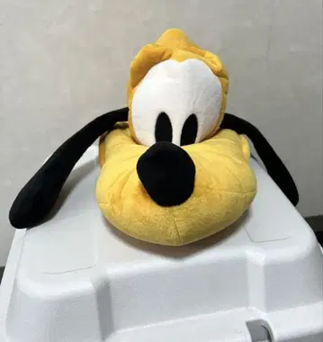 플루토 모자