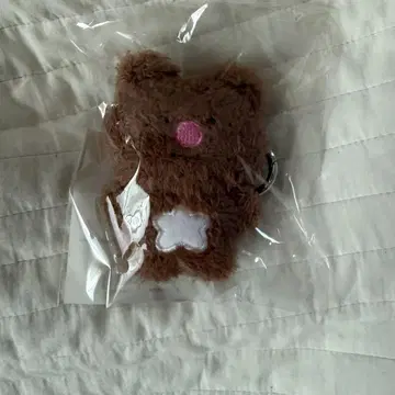 EVNNIZ 봉제 인형 치비누이 쿠오지 박지후