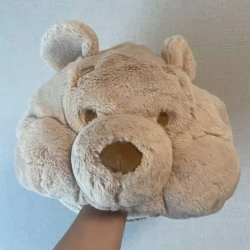 디즈니 팬캡