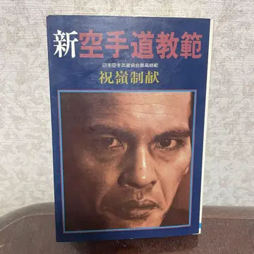 신 가라테도 교범 슈레이 세이켄 일본문예사