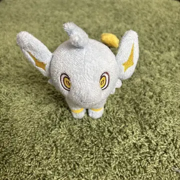 포켓몬 코링크 2007