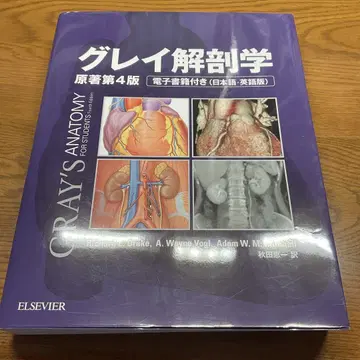 그레이 해부학 제4판