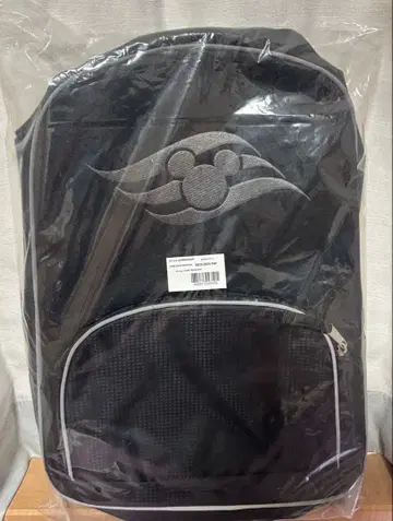디즈니 크루즈 한정판 백팩