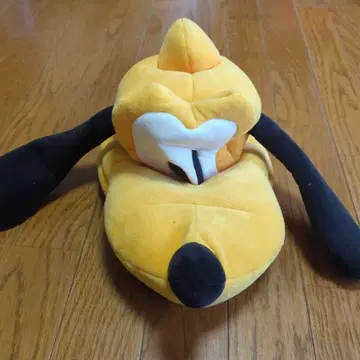 구피 모자