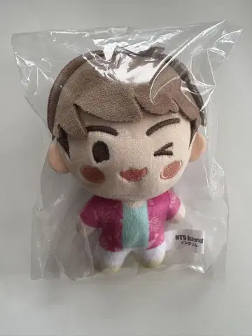 BTS 인더섬 JIN 마스코트 참