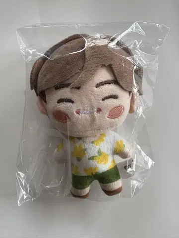 BTS 인더섬 V 마스코트 참