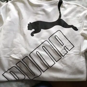 PUMA 화이트 XL 2장