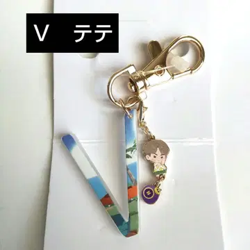 BTS Island 인더섬 시마무라 참 키링 V 태태