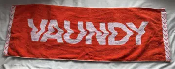 VAUNDY 타월 오렌지