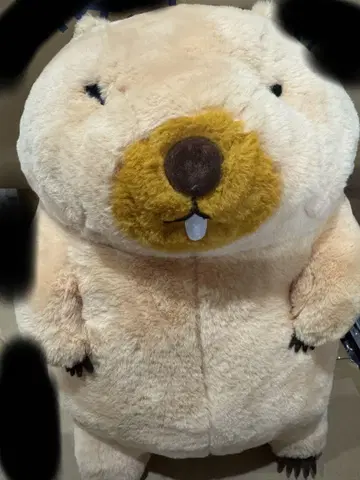 보바군 마모트의 모토토토 모아