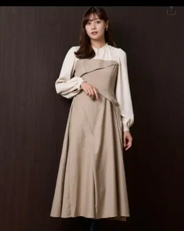 herlipto Bicolor Draped Dress S 새상품