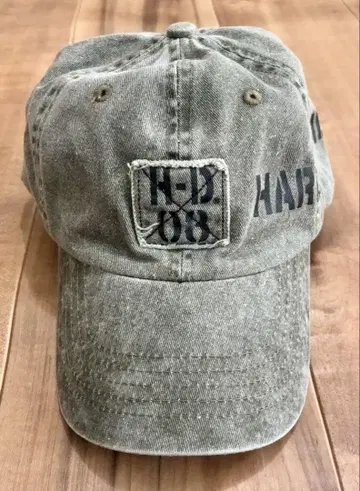 Harley Davidson 할리데이비슨 캡 그레이 계열