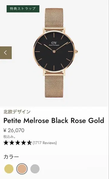 DANIEL WELLINGTON 메쉬 시계 블랙 로즈 골드