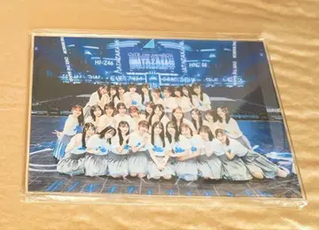 히나타자카46 히나코레 B상 아크릴 스탠드