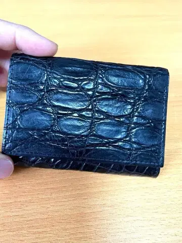 히루마 콜라보 크로커다일 스트라치오