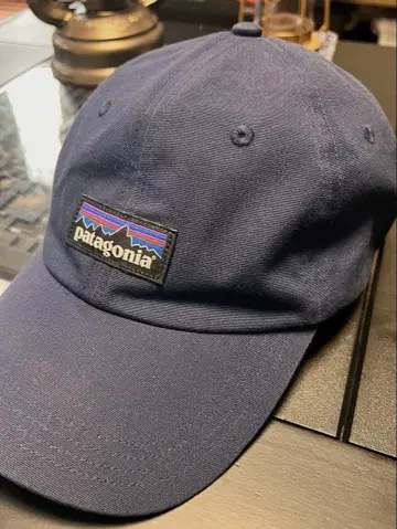 patagonia 네이비 캡