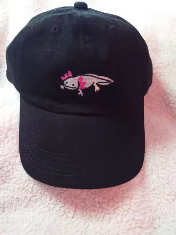 캡 우파루파 자수 go slow caravan