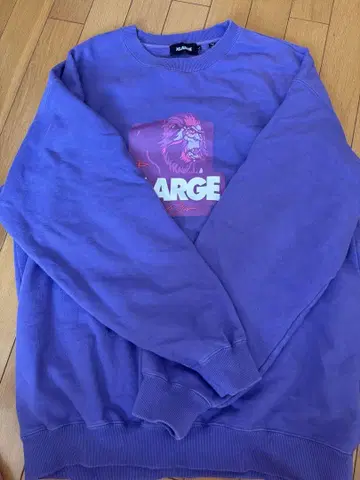 XLARGE 보라색 트레이닝복 L 사이즈