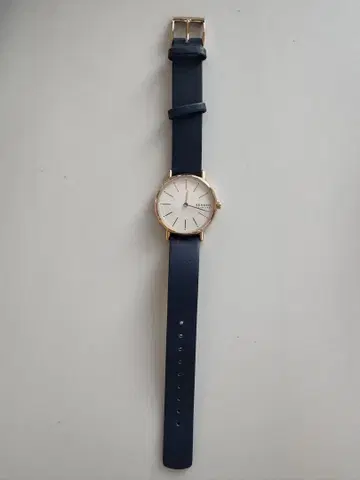 SKAGEN 손목시계 네이비 used