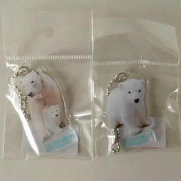 주라시아 북극곰 아크릴 키링 세트