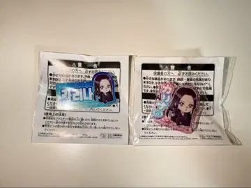 aespa 이름 아크릴 배지 남코 한정판 카리나