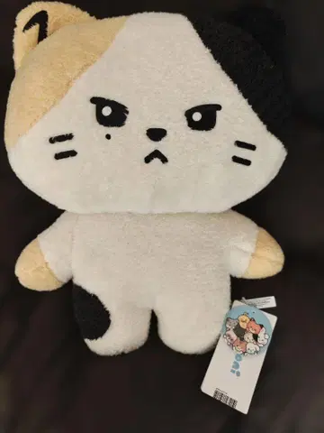 zeroni zerobaseone 리키 LINE FRIENDS