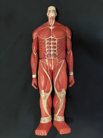 진격의 거인 초 대형 거인 피규어 약 21cm 새상품급