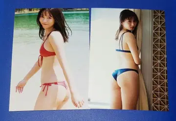 시다논 L판 사진 사이즈 2장
