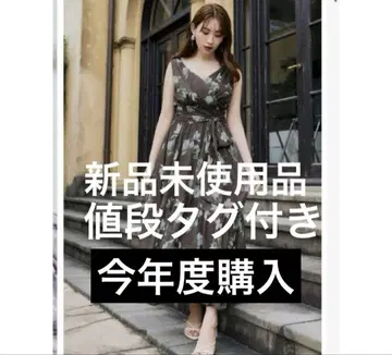 아네모네 캐시코르 롱 드레스 herlipto