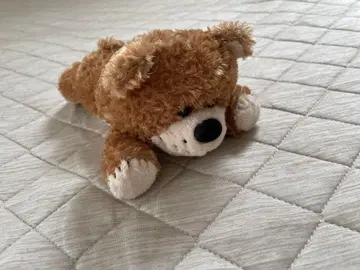 [새상품급] 수지스두 부프 곰 봉제 인형