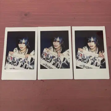 Royz 스바루 씨 폴라로이드