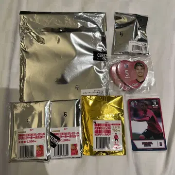 세레소 가챠 키타 히나타 선수
