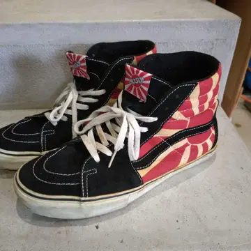 VANS 크리스천 호소이 Christian hosoi 1st 스케이트