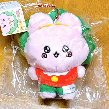체고심x코지코지 POP UP 콜라보 마스코트 팝업 한정판