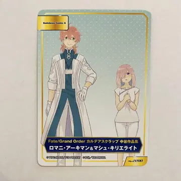 FGO Fate A.B-T.C 카드 애니메이트 페어 로마니