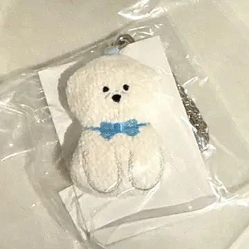페이러 모후모후 완찬 비숑 프리제 참 화이트