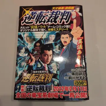 역전재판 천재 검사 미츠루기 편