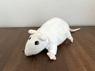 IKEA 쥐 단종