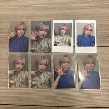 팬더드래곤 파라곤 하피카 포함 트레이딩 카드 타이거