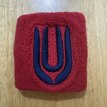 UNISON SQUARE GARDEN 리스트 밴드