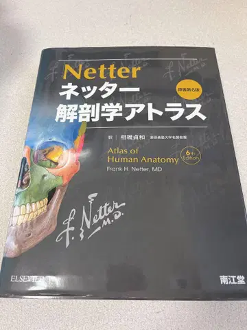 Netter 해부학 아틀라스 6판