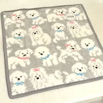 페이러 모후모후 완찬 손수건