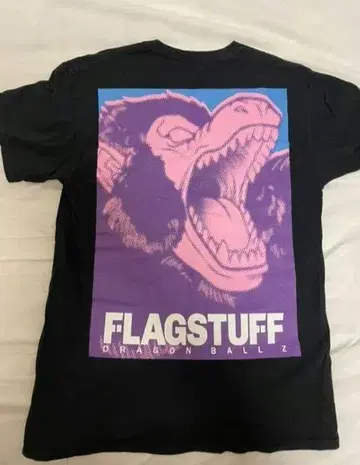 flagstuff T셔츠