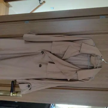 베이지 트렌치코트 체크 무늬