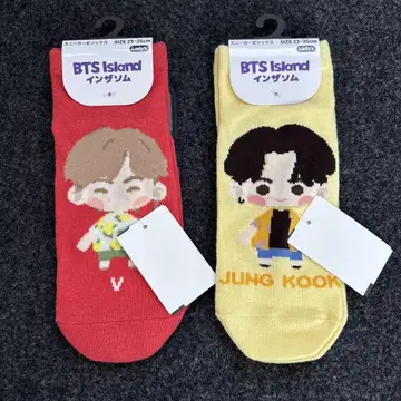 BTS 인더섬 시마무라 삭스 양말 정국 태태